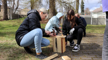 Būvē un uzzini: putnu pasaule