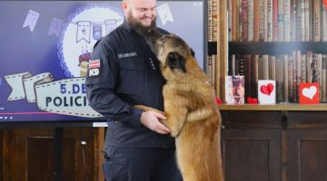 Mazais pētnieks pēta policista profesiju