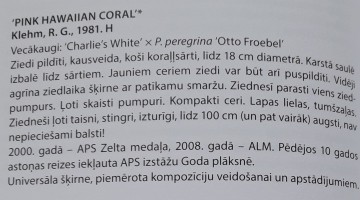 Peoniju krāšņums turpinās