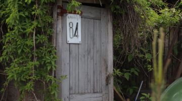 Pastaiga „Smilšu ielas dārgumus meklējot”