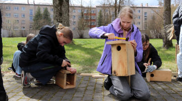 Būvē un uzzini: putnu pasaule