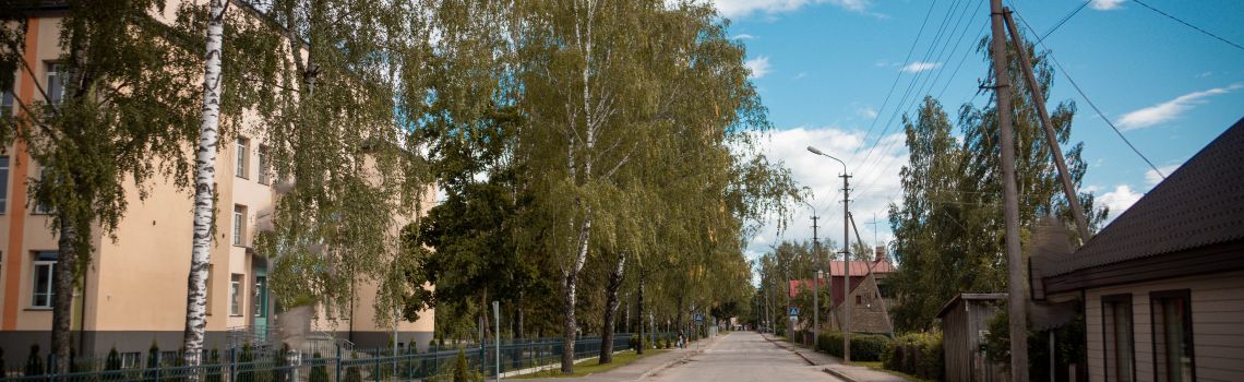 Lauku iela (Jaunā iela)