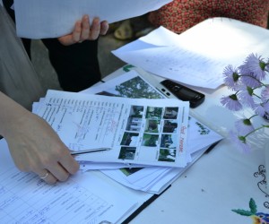 Orientēšanās 2012