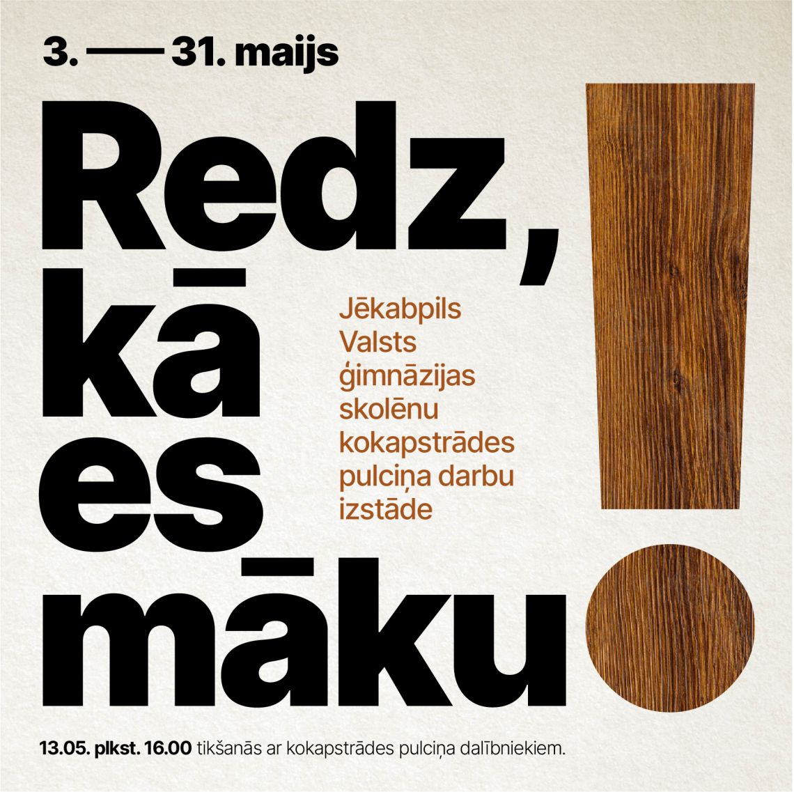 Tikšanās ar kokapstrādes pulciņa dalībniekiem