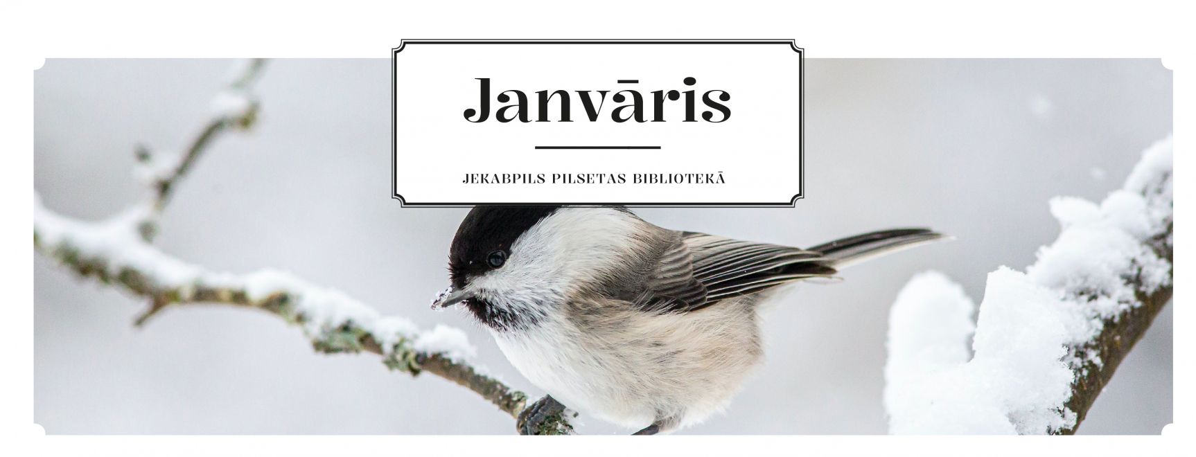 Janvāris 2024 bibliotēkā