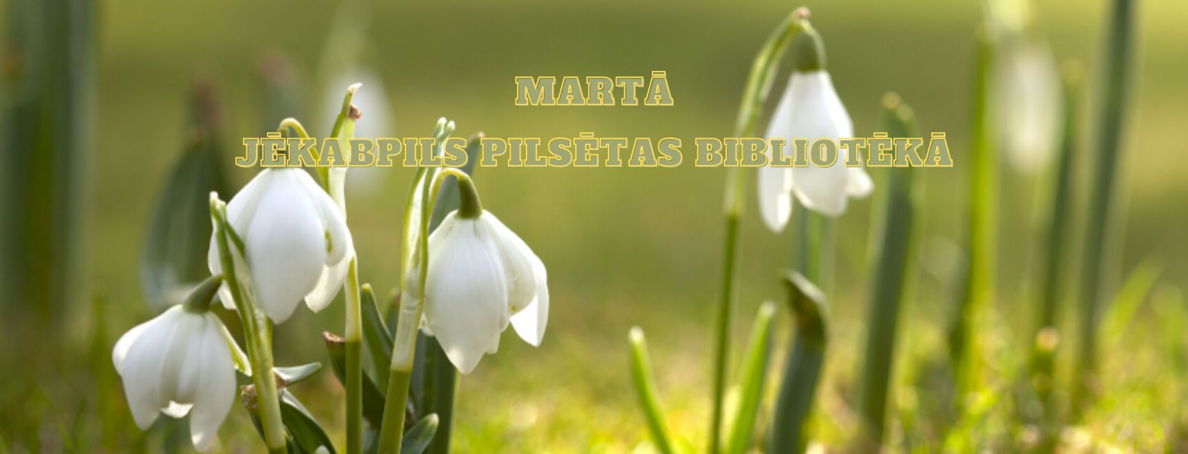 Marts 2024 bibliotēkā